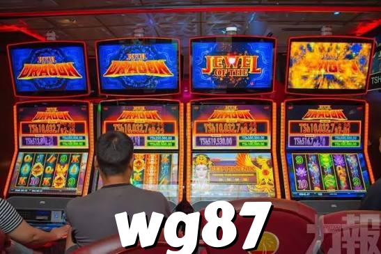 wg87 banner